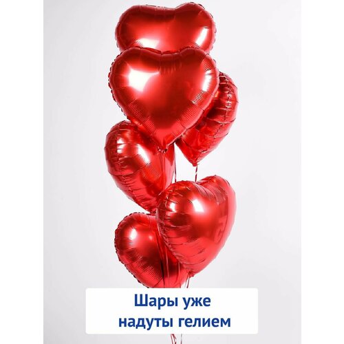 ������ ������ ��������� ���� � ����� ������, ����� ����� �� 5 ��, ������ ����