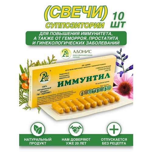 ������ ������ ����� �������� �� �������� 10 ��. ������ ����