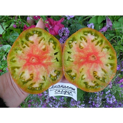 ������ ������ ������������� ������ ������ ��������� ������ ׸���� ����