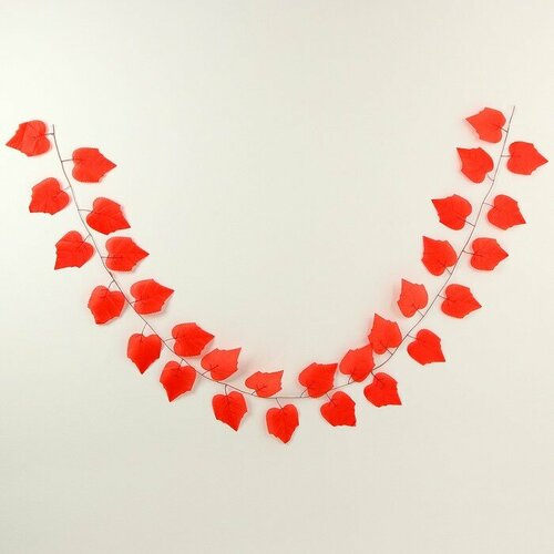 ������ ������ ����� 