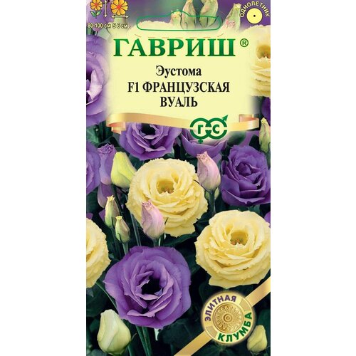 ������ ������ ������� ����������� ����� F1 ����