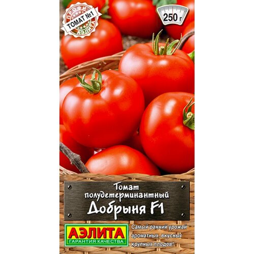 ������ ������ ������ ����� ������� 20�� ��� (������) ����