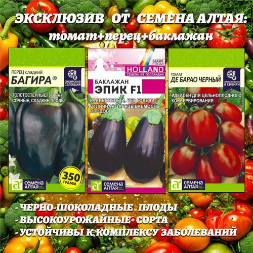 ������ ������ ��������� �� ������ �����: �����+�����+�������� ����