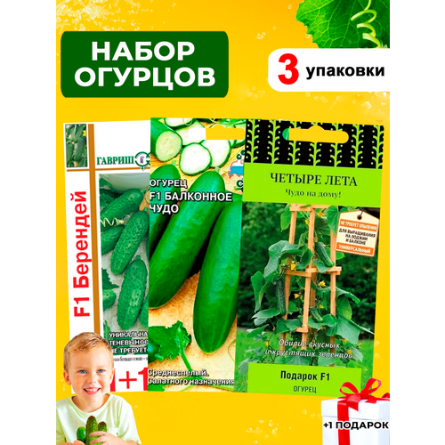 ������ ������ ������ ������� ��� �����������, 3 ����� ����