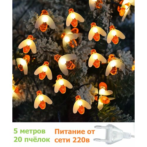 ������ ������ �������� ������������� ������ 5 ������ ����