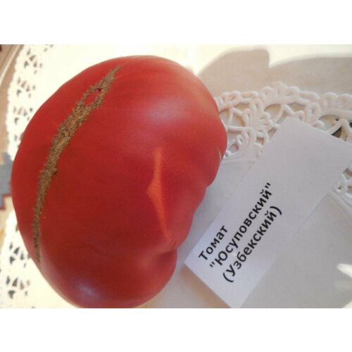 ������ ������ ������������� ������ ������ ���������( ����������) ����