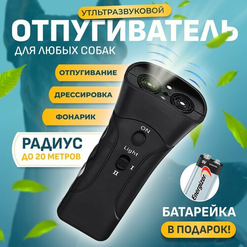 ������ ������ ������������ �����, �������������� ������������ ����� Ultrapugach ������ � ���������. ����