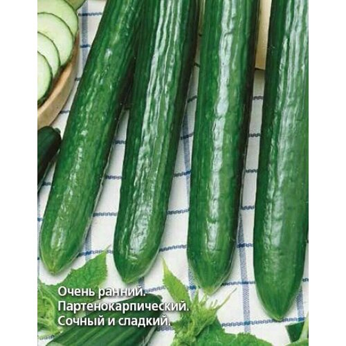 ������ ������ ������������� ������ ������ F1 ������� ����