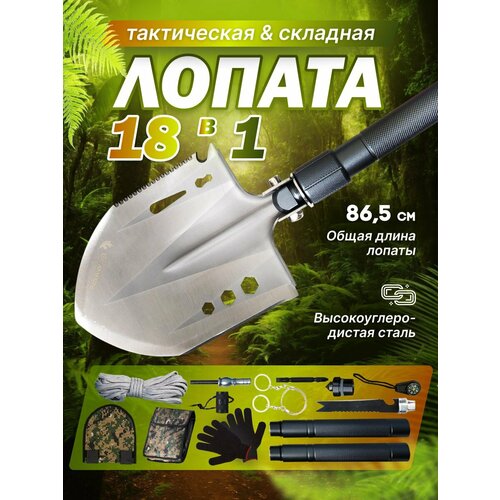 ������ ������ �������� �������� ��������� ������ ����