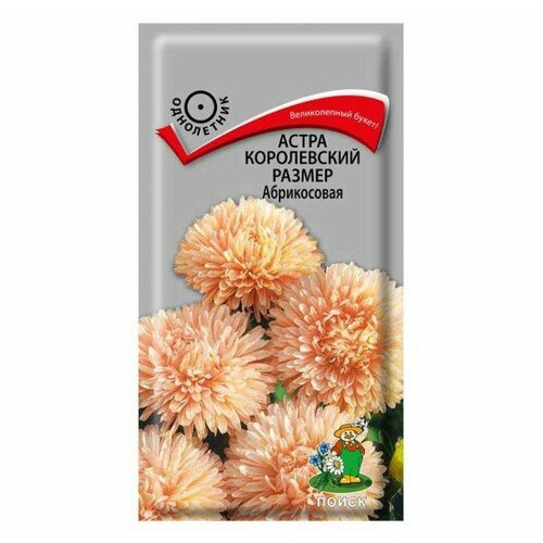 ������ ������ ������ ����� ������ ����������� ������ �����������, 0,1 � (1 ��.) ����