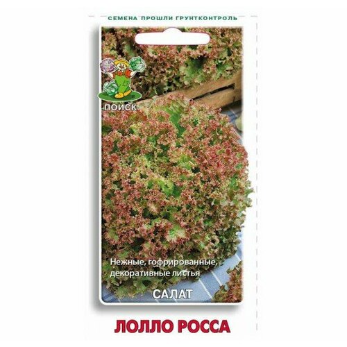 ������ ������ ������ ����� ������ ����� �����, 1 � (1 ��.) ����