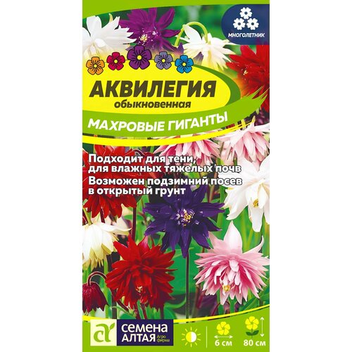 ������ ������ ��������� �������� ������� ����� (0,1 �) ����