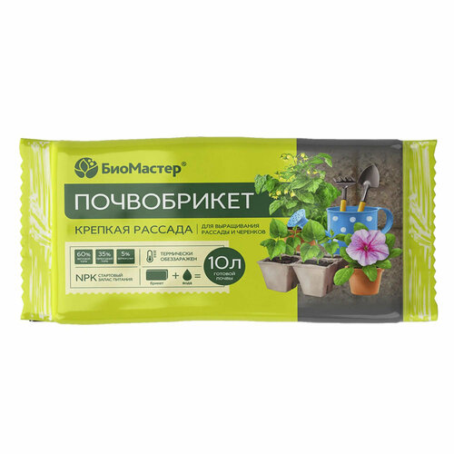 ������ ������ ����������� ������� �������, 10� - ��������� ����