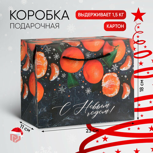 ������ ������ ����� ���������� �����������, 23 � 18 � 11 ��, ����� ��� ����