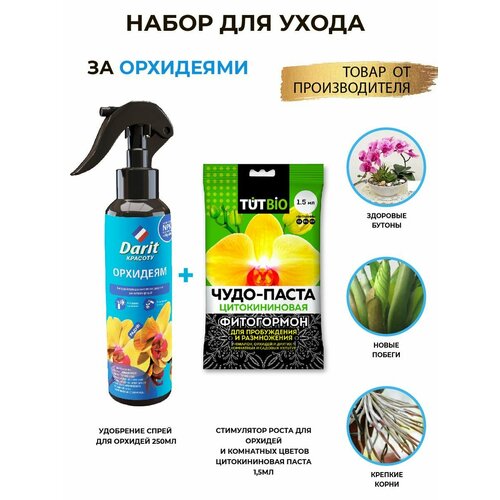 ������ ������ ����� ��������� ���� �� ��������� ����