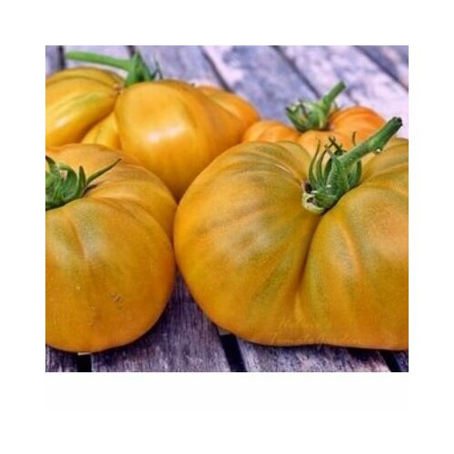 ������ ������ ������������� ������ ������ ���� ����� ���� ����