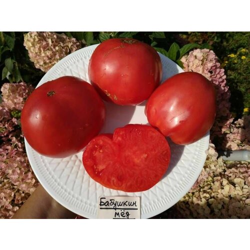 ������ ������ ������������� ������ ������ �������� ̸� ����