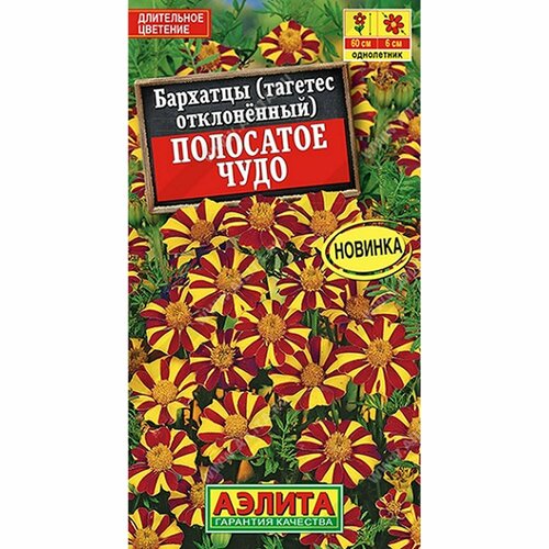 ������ ������ ������ �������� ��������� ���� ����������, (������) 0,1� ����