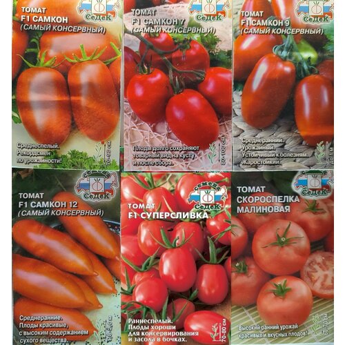 ������ ������ ����� �� 6 ����� ����� ����� ������ ������� ����� ���������� � ����������� �� ����� ����