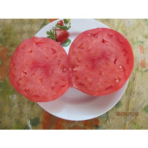 ������ ������ ������������� ������ ������ ����� ������ ���������� � ���������� � 2009 ���� ����