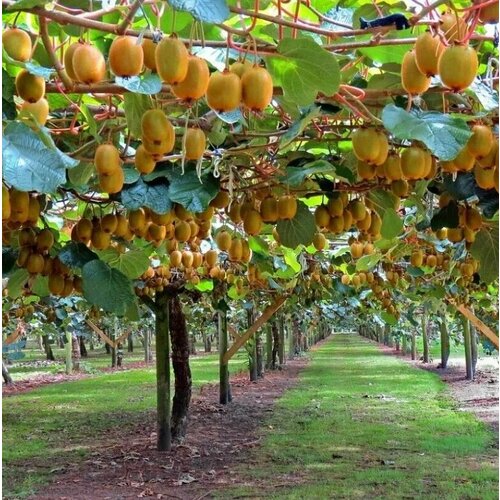 ������ ������ ������ ���� ��������� ��������� 10 ���� ����