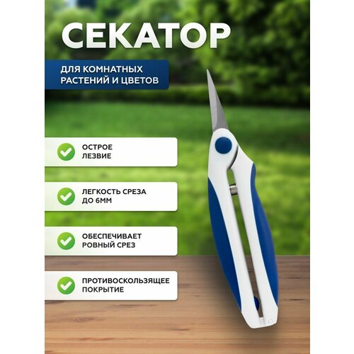 ������ ������ ������� ��� ��������� �������� ����