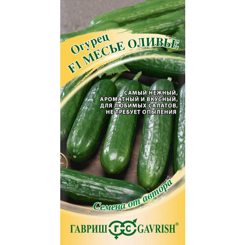 ������ ������ ������ ������ ����� ������ �������� F1, 10��, ������, ������ �� ������ ����