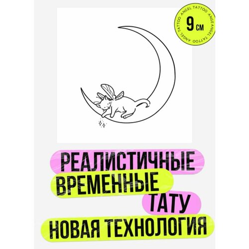 ������ ������ ���� ���������� �������������� �������� ��������� ����