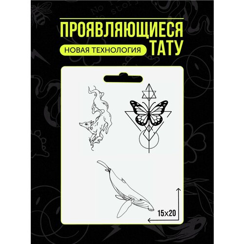 ������ ������ ���� ���������� �������������� �������� ����