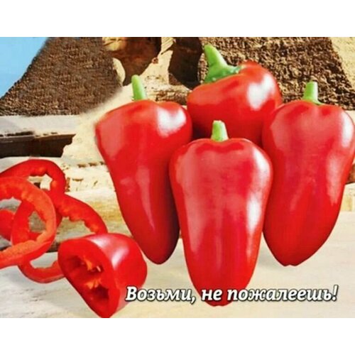 ������ ������ ������������� ������ ����� �������� ���������� ���� ����