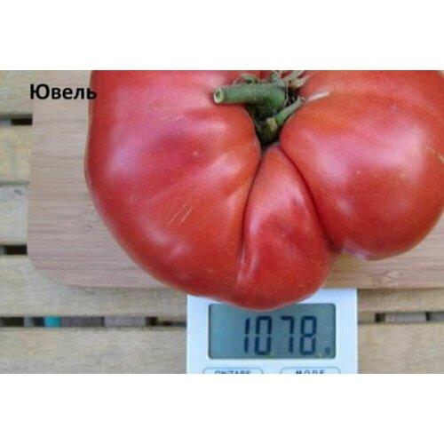 ������ ������ ������������� ������ ������ ����� ����