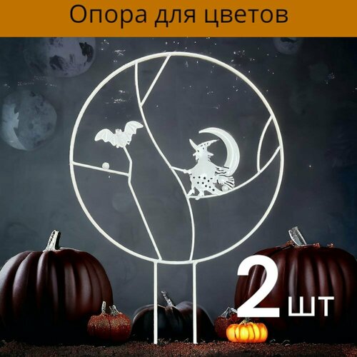 ������ ������ ������� ��� ������ �������� 2 �� ����