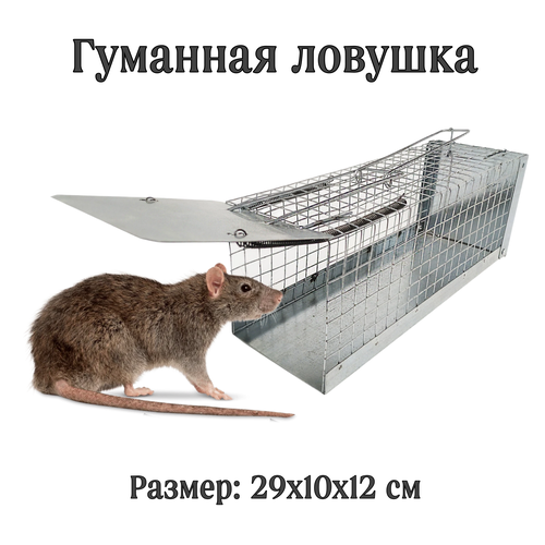 ������ ������ ���������� ������ ������ + ����� �1 �� ���� � ����� ����