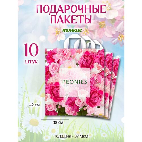 ������ ������ ���������� ������ ����� �������������� ����