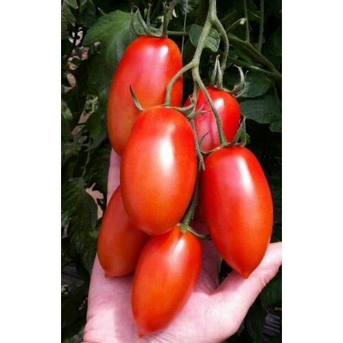 ������ ������ ������������� ������ ������ ������� ������� ����