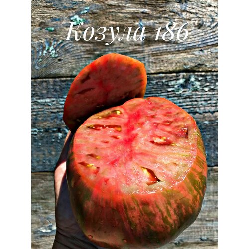 ������ ������ ������������� ������ ������ ������ 186 ����