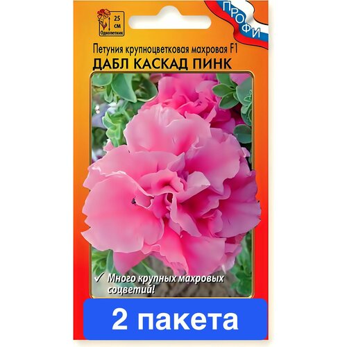 ������ ������ ����� ������� ���� ������ ���� F1 �������� 2 ������ ����