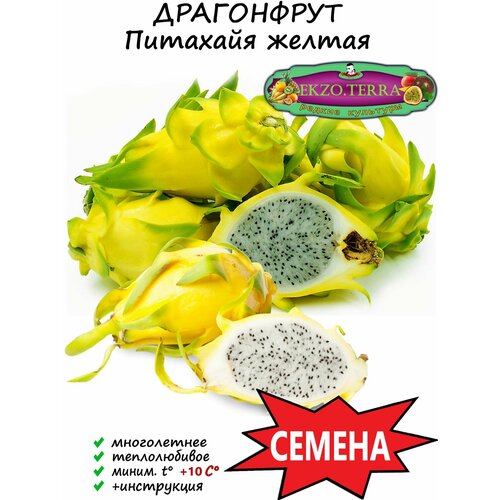 ������ ������ ������ ��������, ���������� (��������� ������) 5�� ����