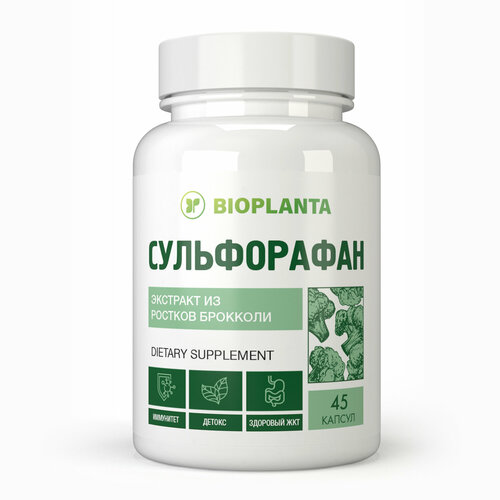 ������ ������ ����������� ����