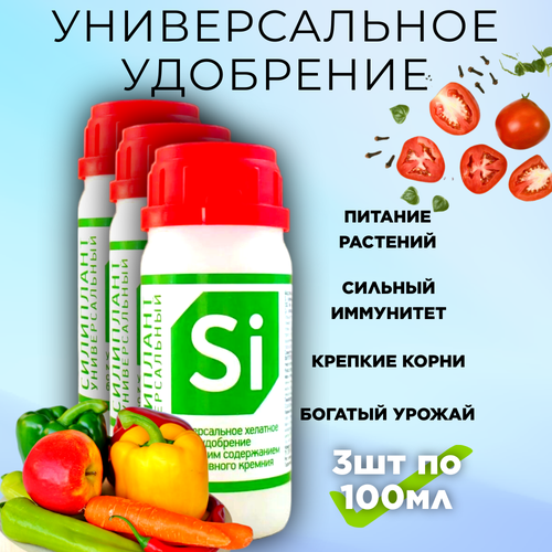 ������ ������ ���� � ���������, 3 �� �� 100 �� ����