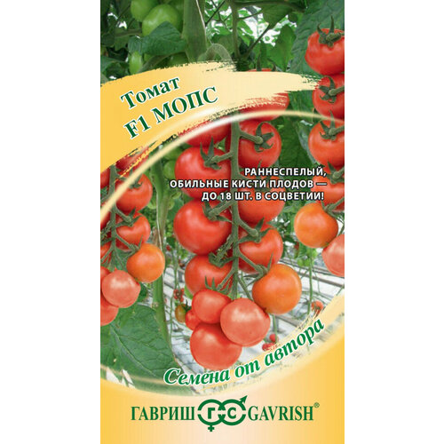 ������ ������ ������ ����� ���� F1, 5��, ������, ������ �� ������ ����