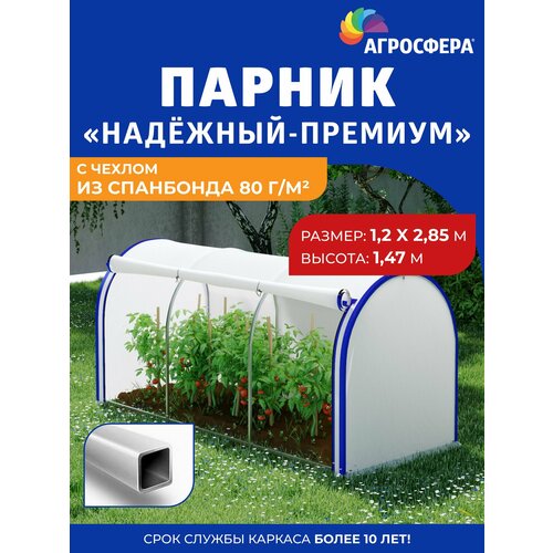 ������ ������ ������ 