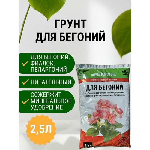 ������ ������ ����� ��� ������� 2,5 � ����