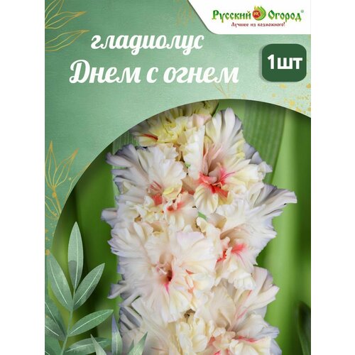 ������ ������ ��������� ���� � ����� ����