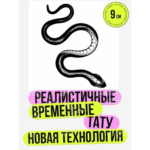 ������ ������ ���� ���������� �������������� �������� ���� ����