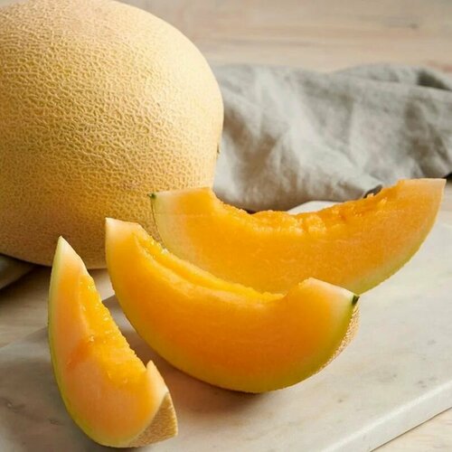 ������ ������ ������������� ������ ���� ����-87 ����