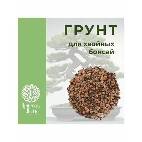 ������ ������ ����� ��� ������� ������ ����