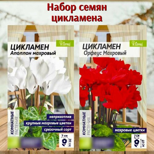 ������ ������ ������ ������ �������� �������� ����� 2 ��. ����