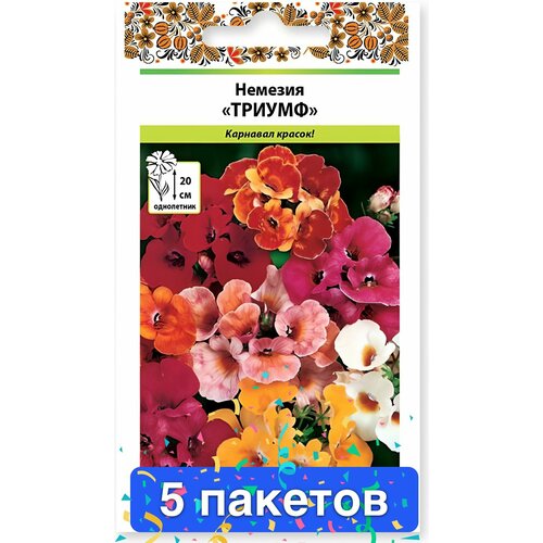 ������ ������ ����� ������� ������, ����� 5 ������� ����