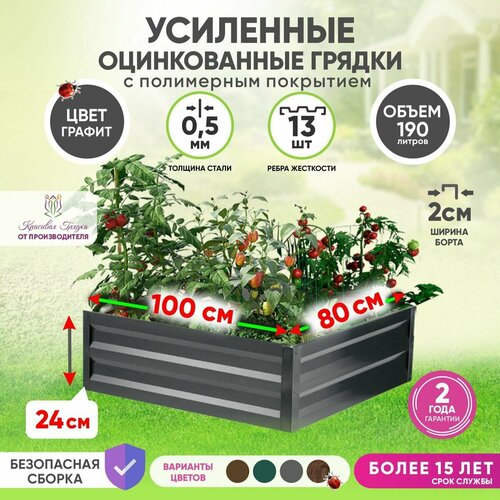 ������ ������ ������ ������������ �� ���� ��������� 1�0,8 ����� / ���������� ������������� ��� ������ ���� ������ � ������� ������� / ������ ��� ���� � ������� ������ ����� 24 �� ����